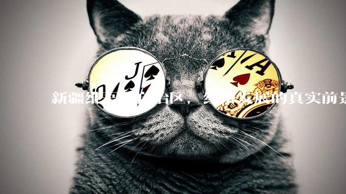 新疆维吾尔自治区，经济发展的真实前景如何？