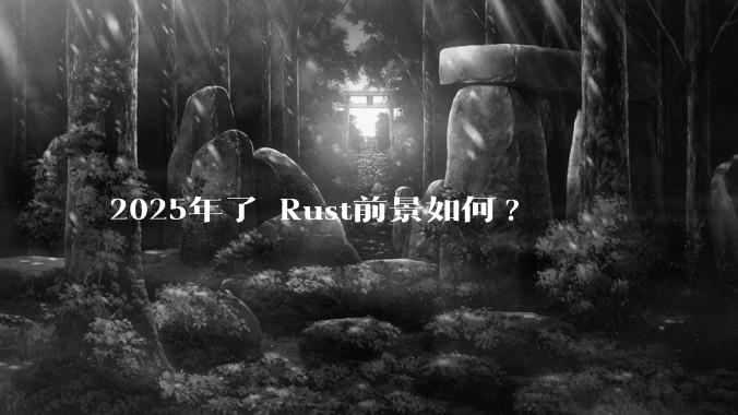 2025年了 Rust前景如何?
